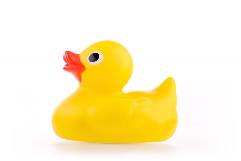 toy, bath, rubber
